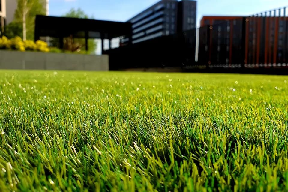 Healthy green lawn - landscaping and garden maintenance in Dubai