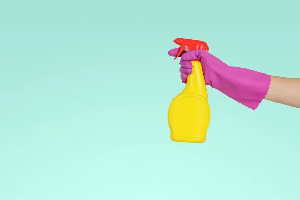 Safe pest control treatment in Dubai homes by Top Fixers